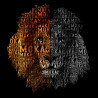 Kortærmet Rashguard - Moka Lion - Sort/Orange
